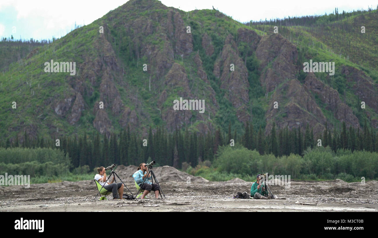 Three NPS biologists search for Peregrine Falcons as part of an annual survey done within Yukon-Charley Rivers National Preserve. Stock Photo