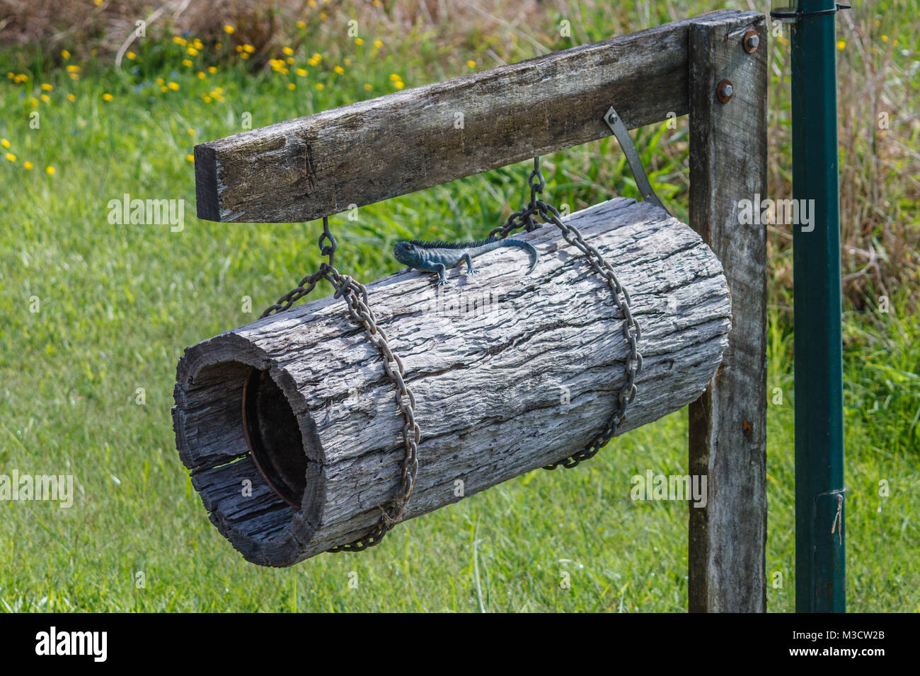 Australian countryside. Mailbox in a shape of a log with toy lizard sitting on it. Sunshine coast, Queensland, Australia Stock Photo