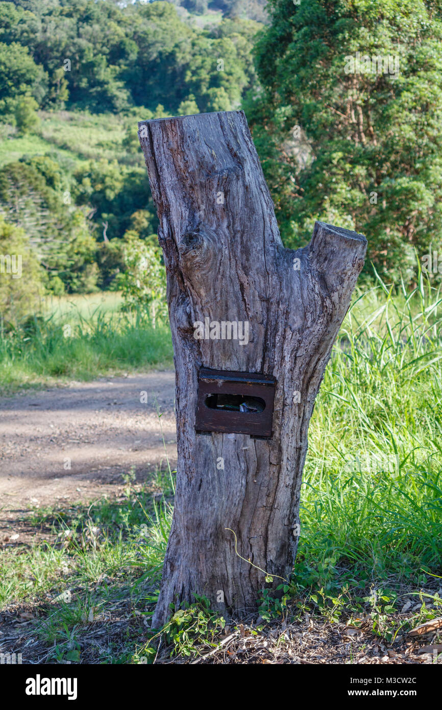 Australian countryside. Mailbox in a tree trunk. Sunshine coast, Queensland, Australia Stock Photo