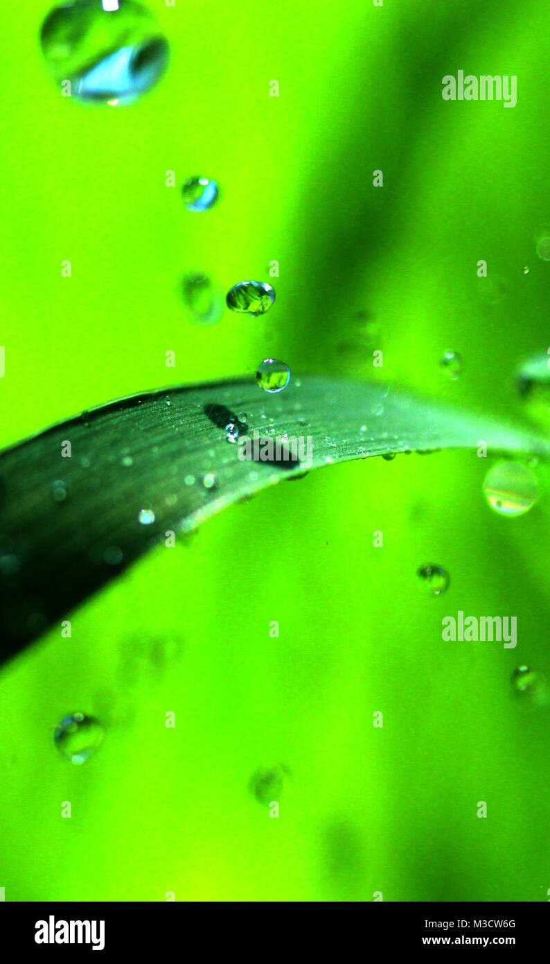 Levitate blade hi-res stock photography and images - Alamy