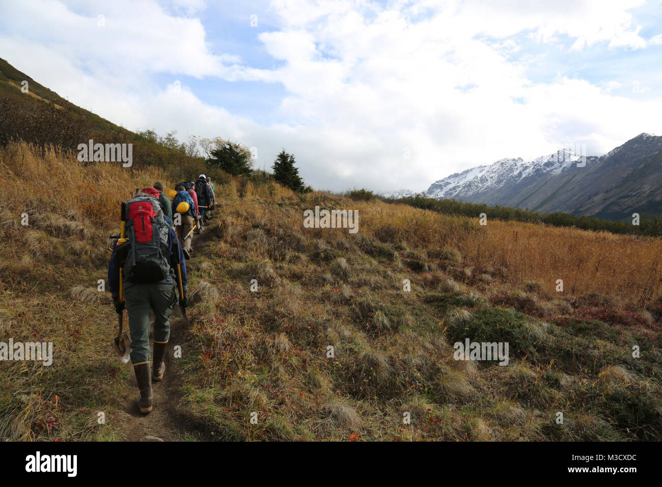 Hiking back, taking in the view.  Alaska Trail Stewards. Stock Photo