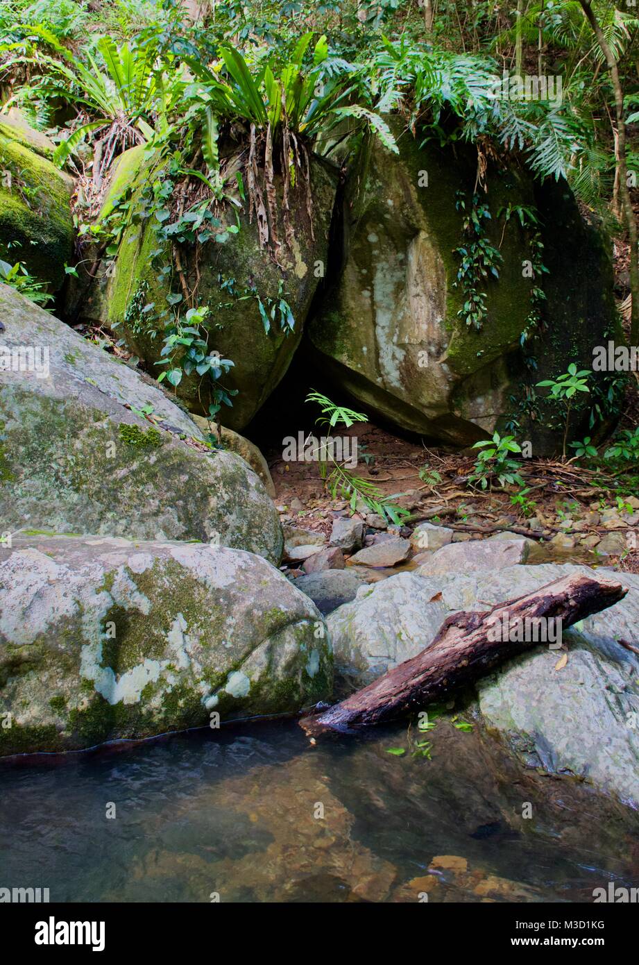 Split Rock in the Australian Rainforest with large boulders and a water hole Stock Photo