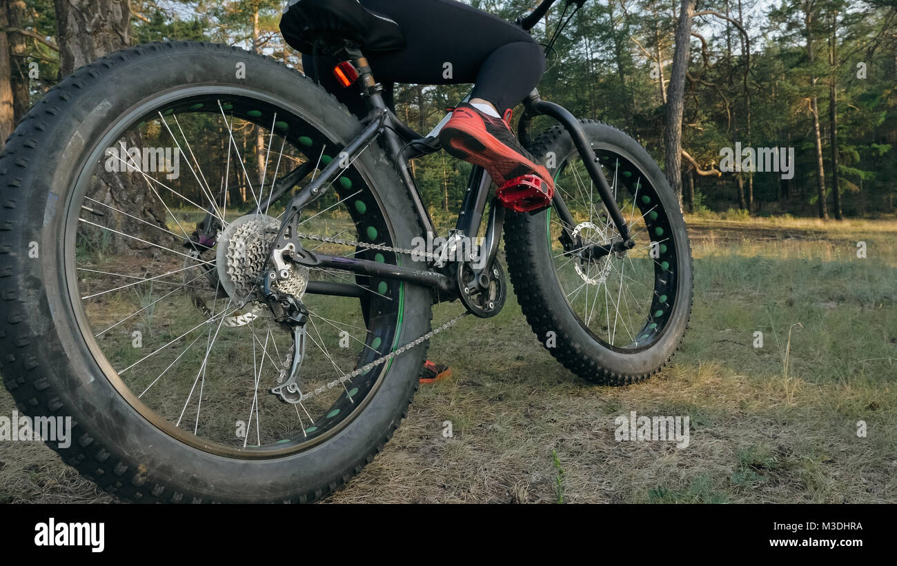 fat bike summer