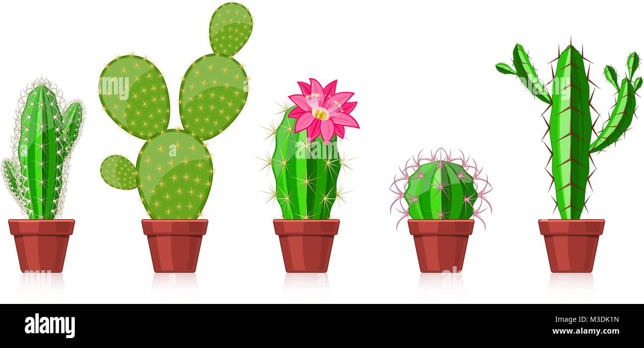 set of cactuses in pots on a white background Stock Vector Image & Art ...