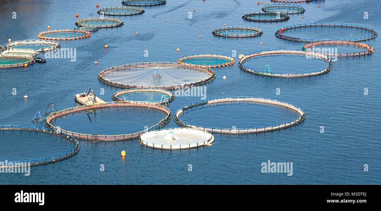 fish farm in greece Stock Photo Alamy