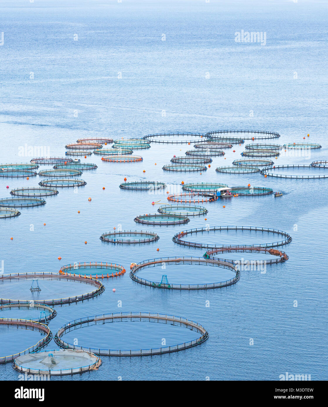 fish farm in greece Stock Photo Alamy