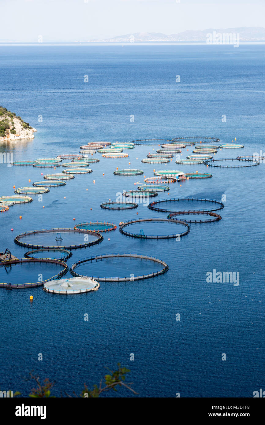 fish farm in greece Stock Photo Alamy