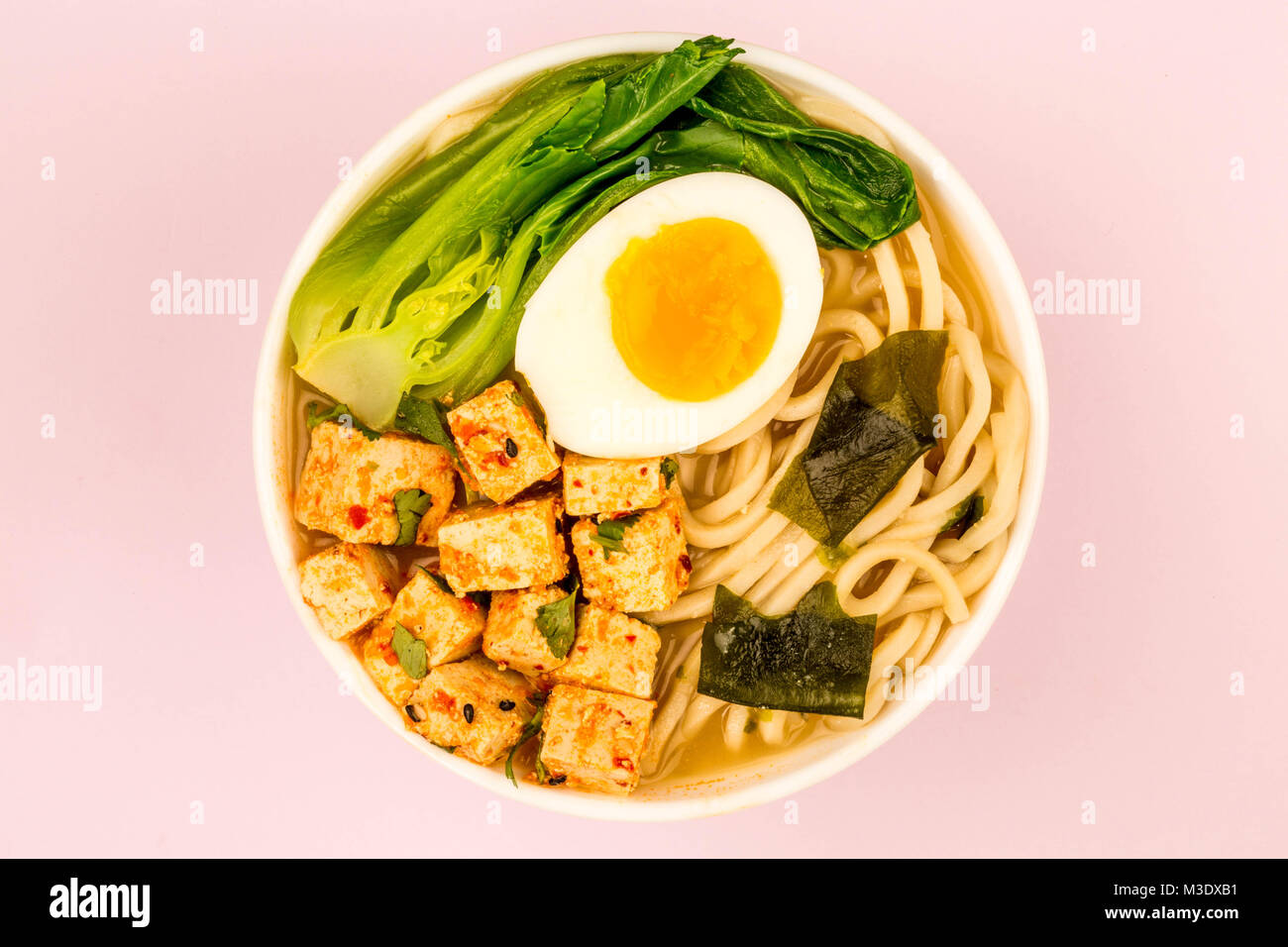 Japanese Style Vegetarian Tofu Noodle Ramen Soup or Broth Against A