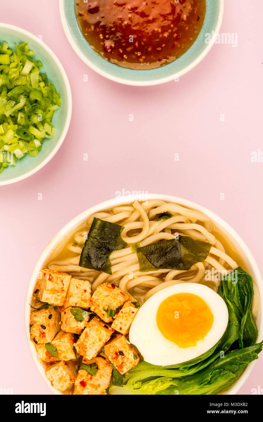 Japanese Style Vegetarian Tofu Noodle Ramen Soup or Broth Against A