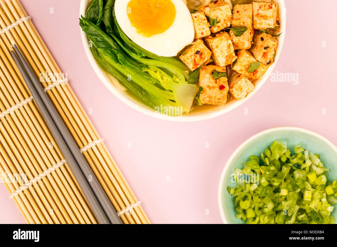 Japanese Style Vegetarian Tofu Noodle Ramen Soup or Broth Against A