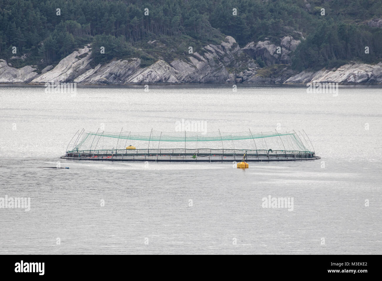 Salmon farm on Nordfjord, near Bergen, Norway Stock Photo Alamy