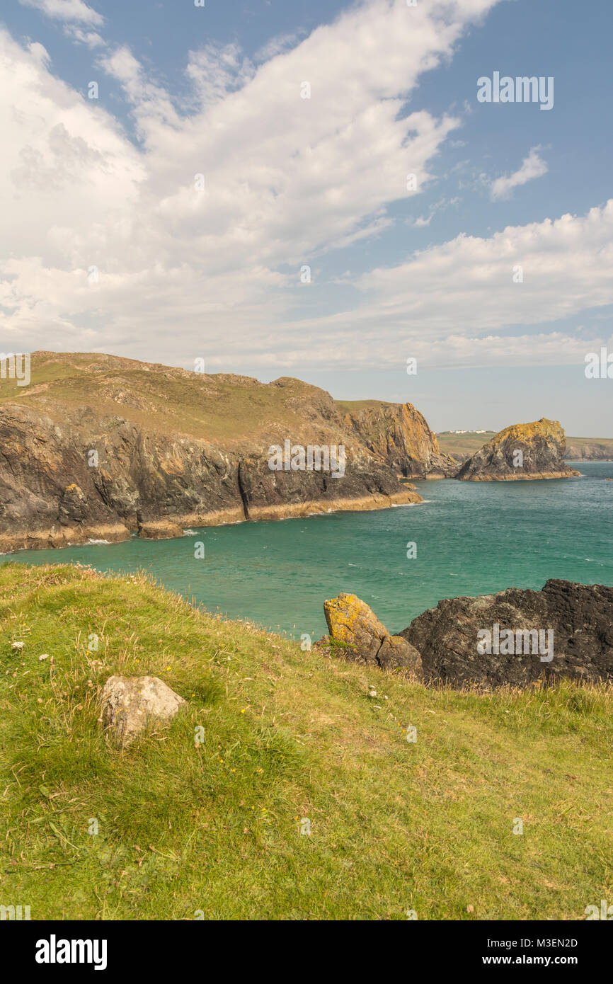 Looking south from Kynance Cove, Cornwall, UK Stock Photo Alamy
