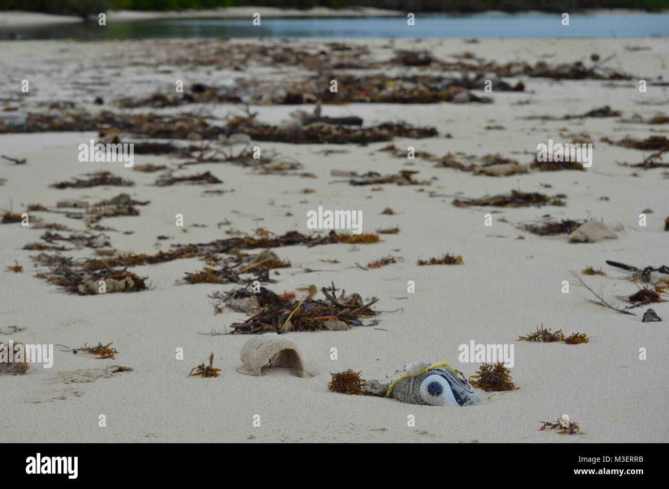 Garbage, plastic waste and heaps of dead marine plants and animals washed out on a beach in Cayo Coco Cuba after a destructive storm and hurricane. Stock Photo
