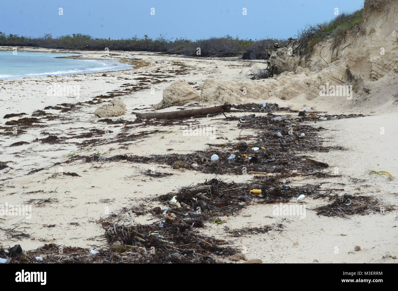Garbage, plastic waste and heaps of dead marine plants and animals washed out on a beach in Cayo Coco Cuba after a destructive storm and hurricane. Stock Photo