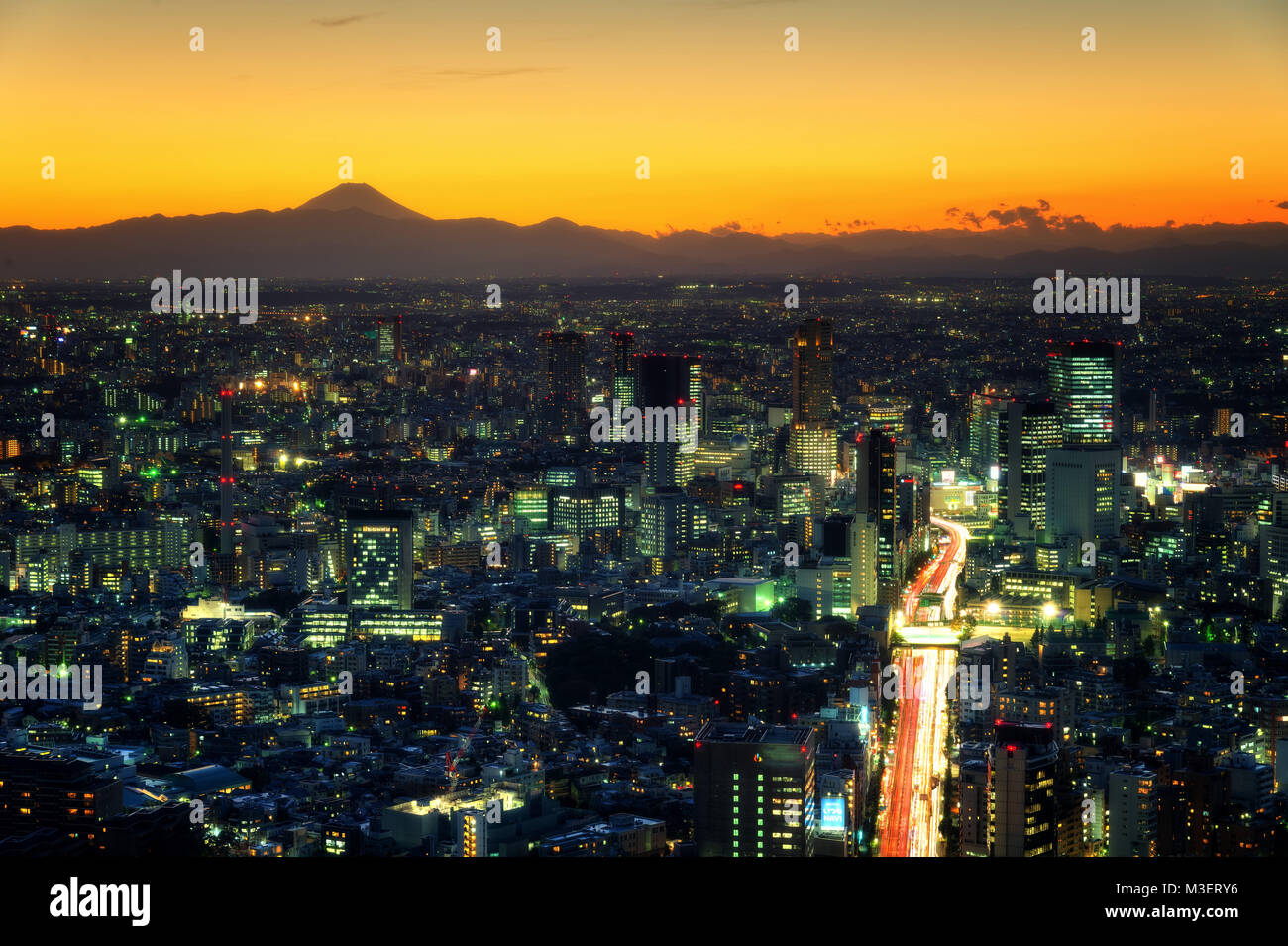 Tokyo Skyline, Japan taken in 2014 Stock Photo