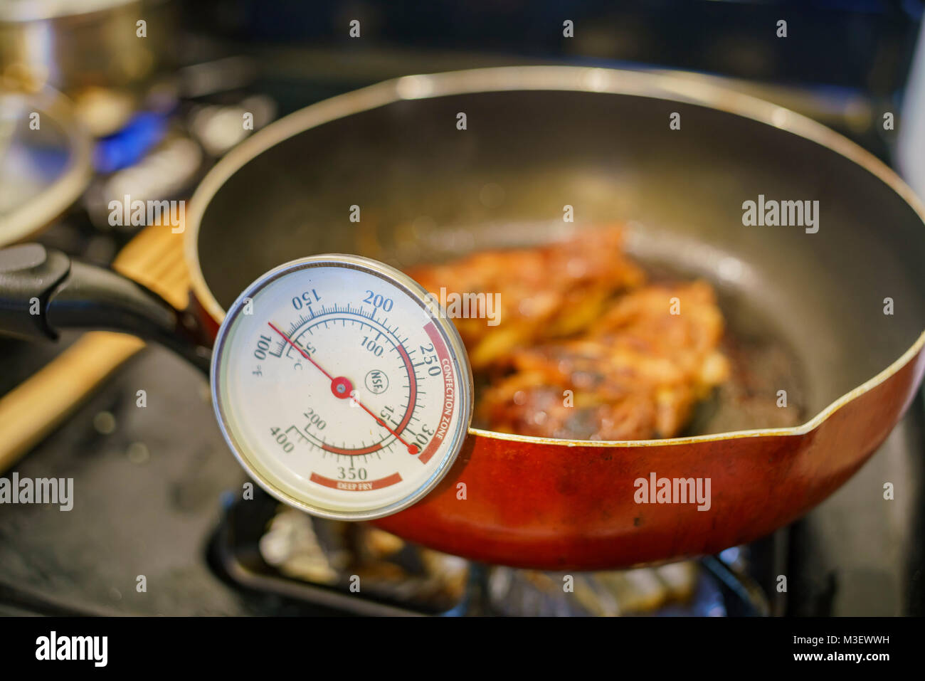 https://c8.alamy.com/comp/M3EWWH/checking-the-temperature-with-thermometer-of-fry-chicken-at-home-los-M3EWWH.jpg