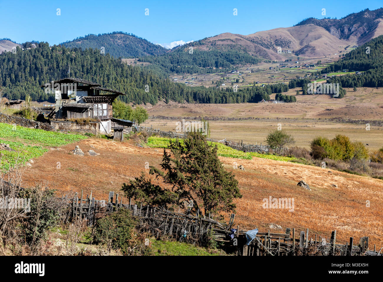 Phobjikha, Bhutan.  Valley Scenes, Farmland and Settlements.  Typical Rural farmhouse in Foreground. Stock Photo
