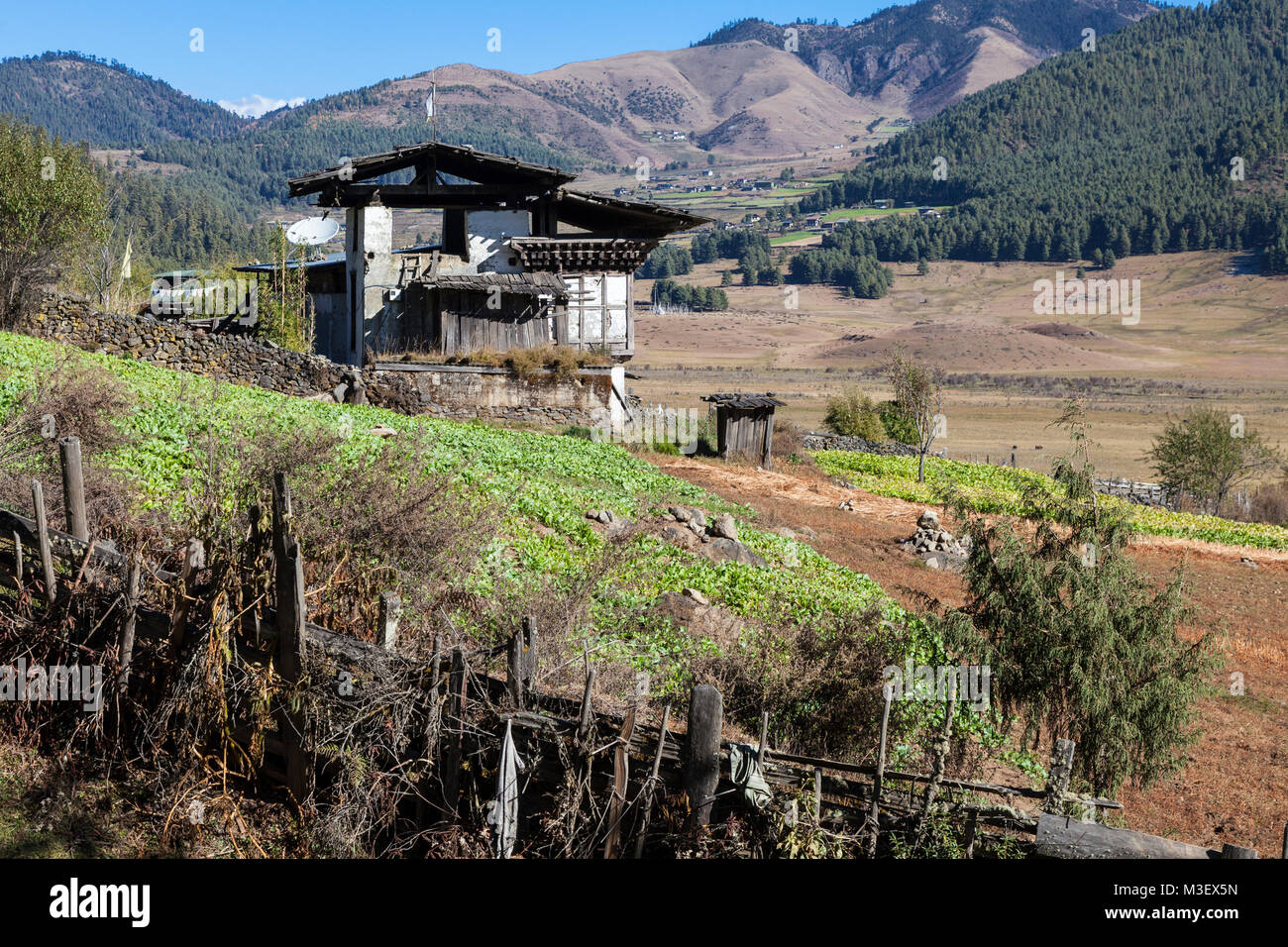 Phobjikha, Bhutan.  Typical Rural farmhouse.  Note Satellite Dish, and Open-air Roof, for drying chilis and vegetables. Stock Photo