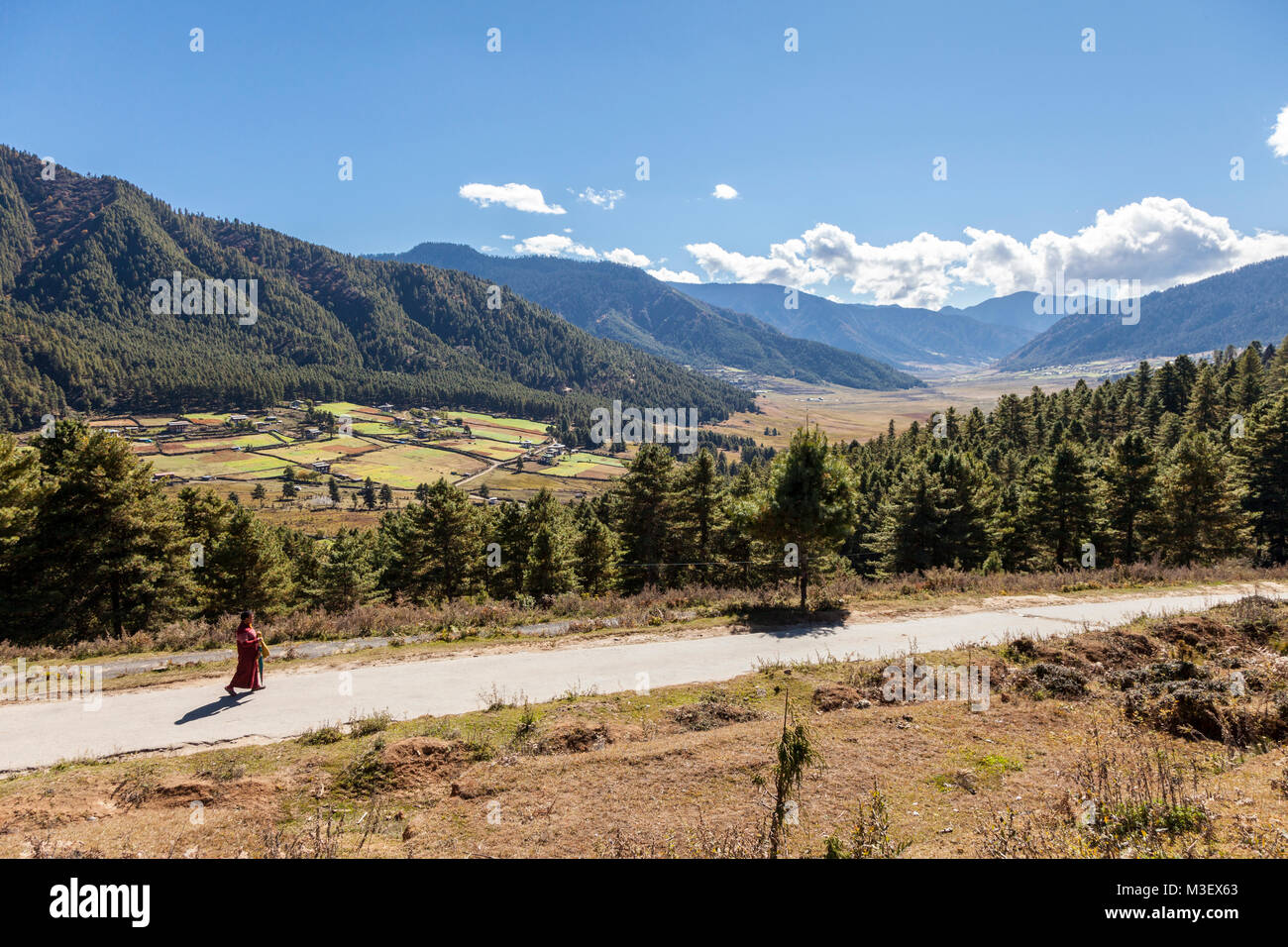 Phobjikha, Bhutan.  Phobjikha Valley, a Valley Carved by Glacial Action. Stock Photo