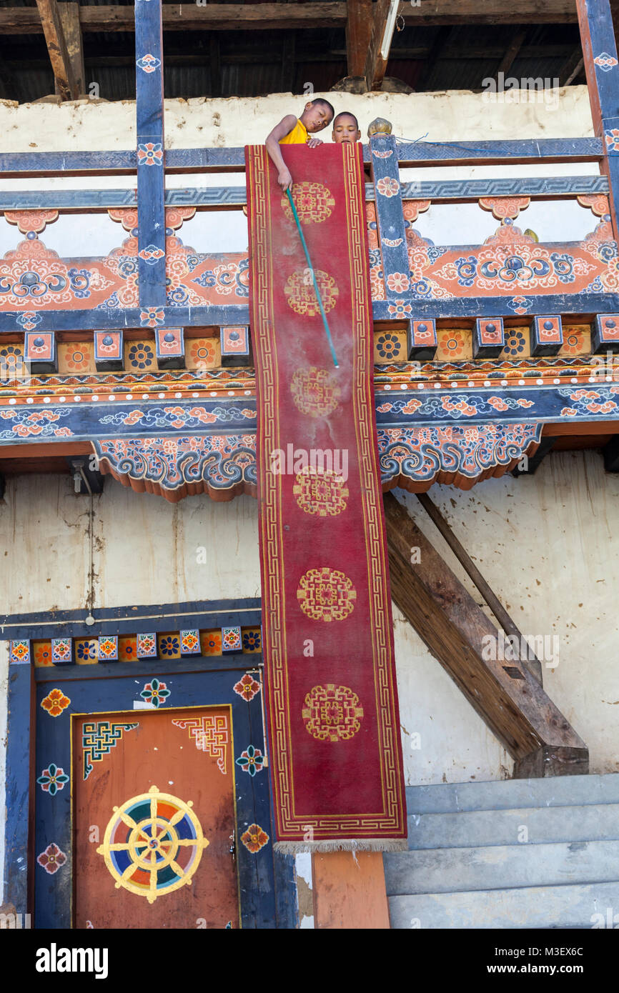 Phobjikha, Bhutan.  Young Monk Dusting a Floor Carpet, Gangte Monastery (Goemba). Stock Photo