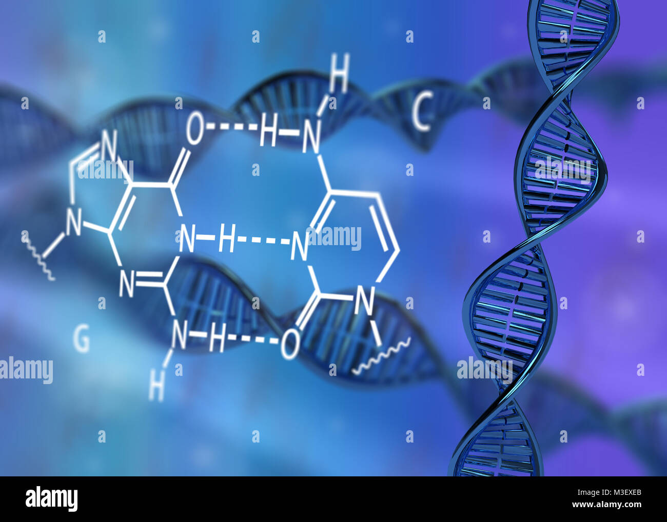 DNA molecule double helix GC base pair 3D rendering Stock Photo Alamy