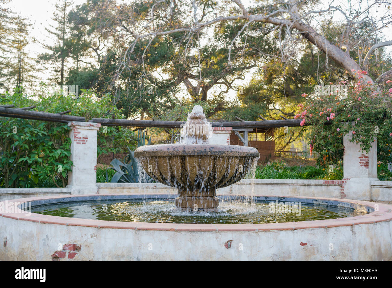 Bougainvillea Fountain High Resolution Stock Photography And Images Alamy