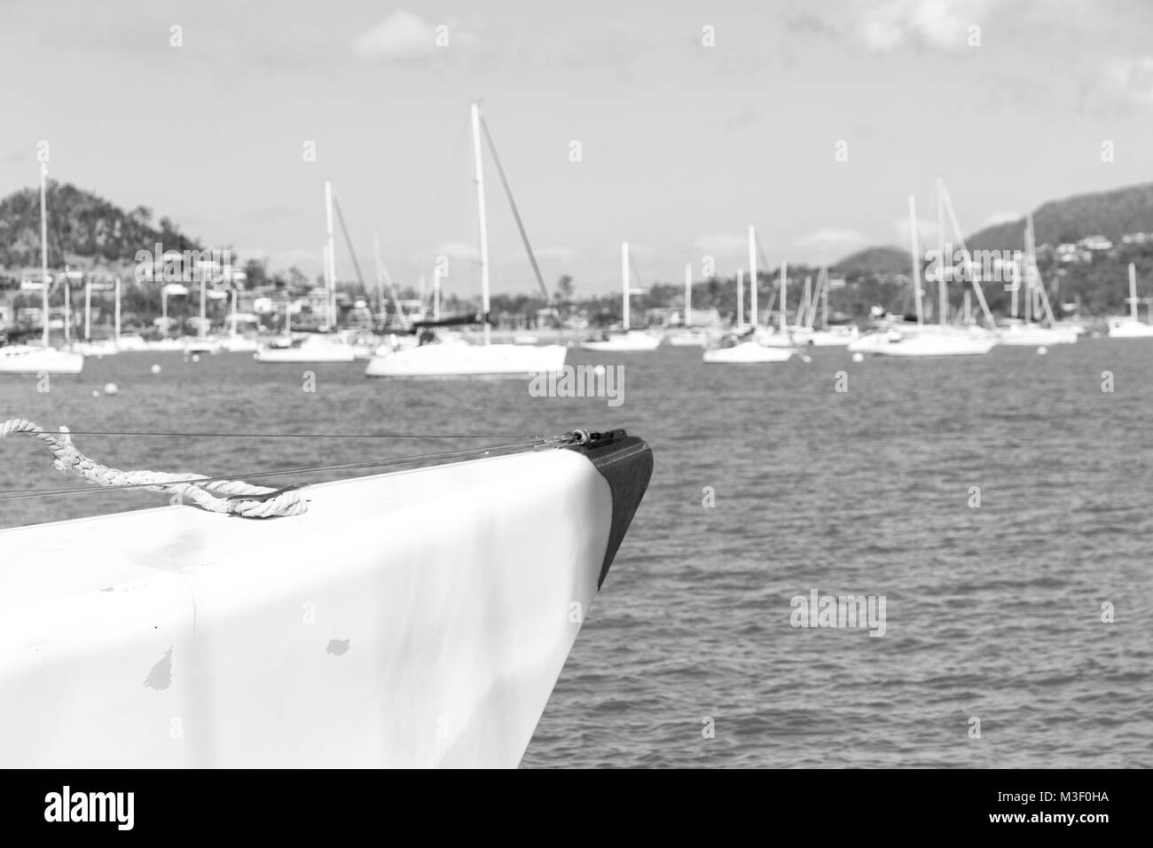 in australia the concept of sailing with catamaran prow in the ocean