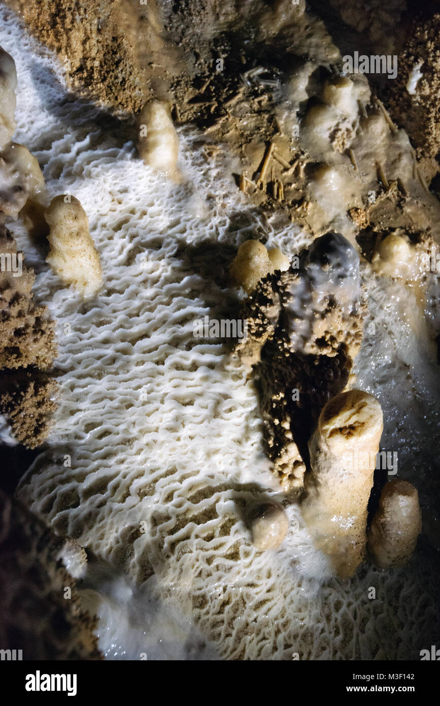 Waitomo Caves New Zealand taken in 2015 Stock Photo