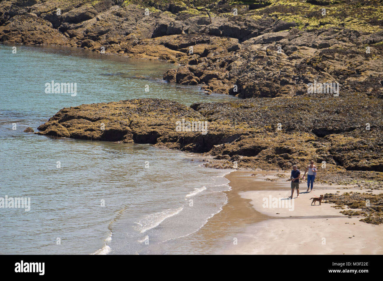 Two people walking their dog at Rozel Bay, Jersey, Channel Islands, UK
