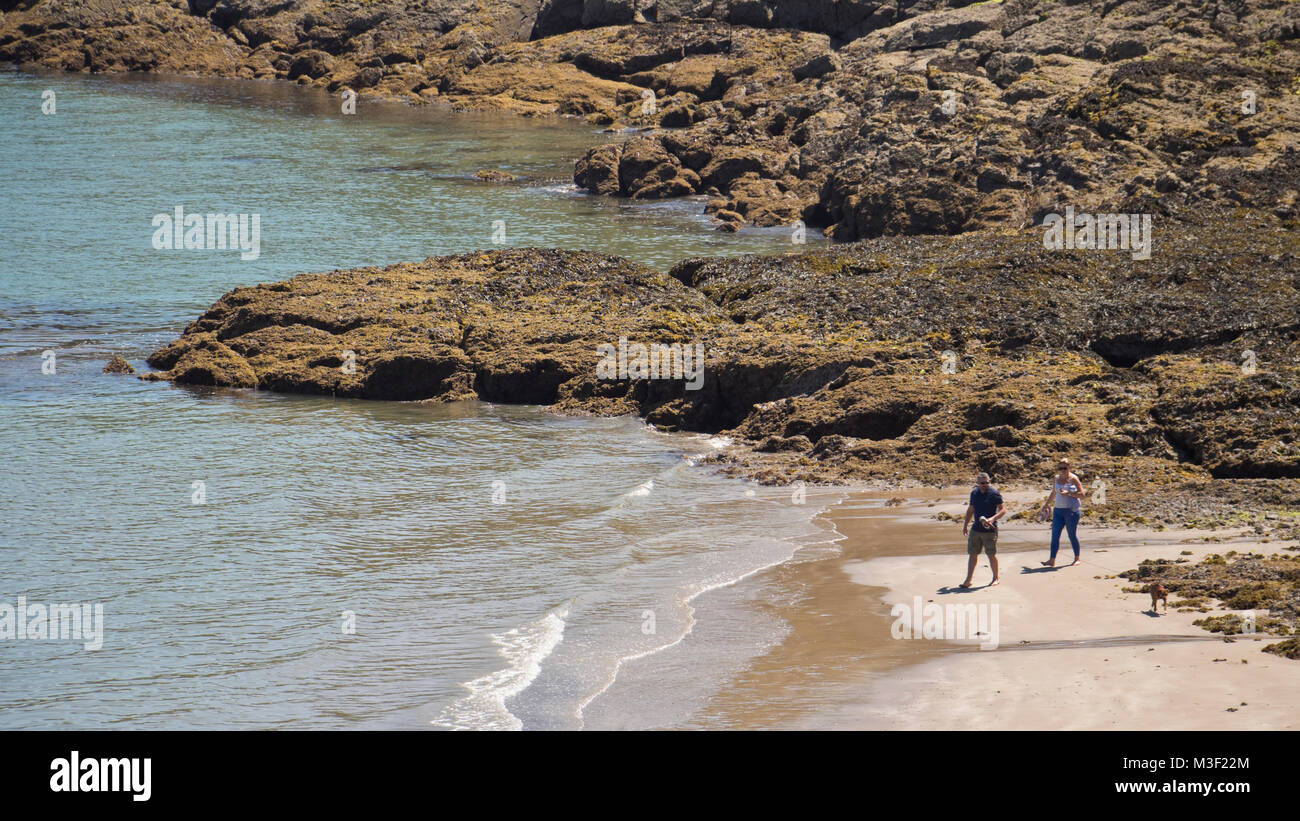Two people walking their dog at Rozel Bay, Jersey, Channel Islands, UK