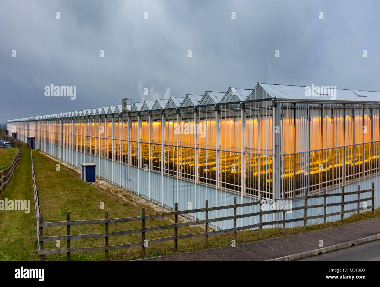 Thanet Earth greenhouses in winter, Kent, UK. Stock Photo
