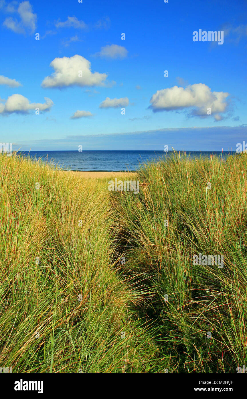 Path to the Sea - Secluded beach idyllic location Stock Photo