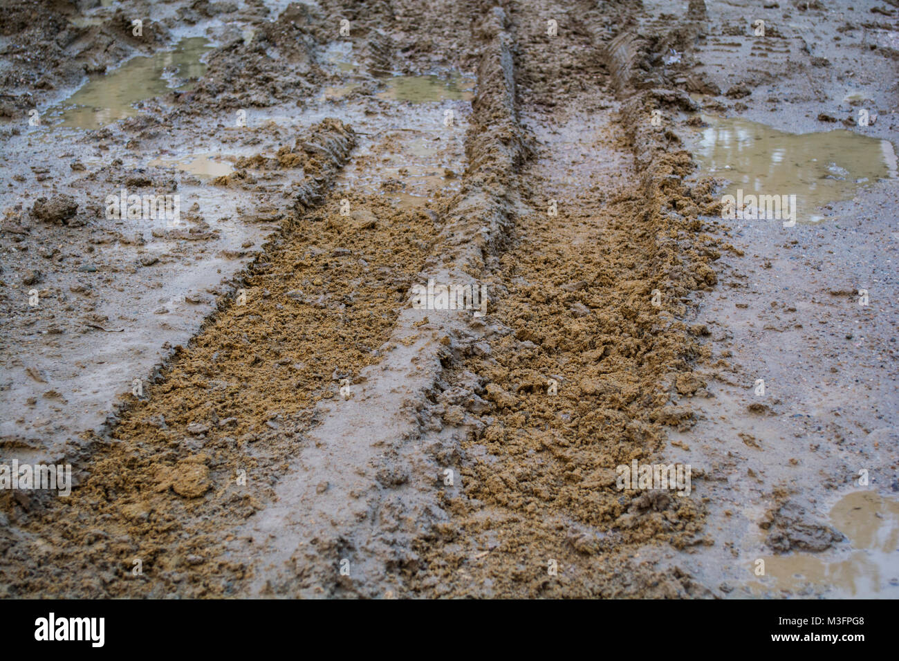 Wheel Track Ripping wheel tracks on rough road Stock Photo - Alamy