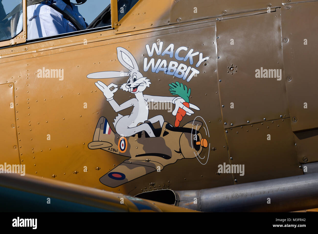 North American T-6 Harvard Texan Wacky Wabbit with nose art at the Little Gransden airshow Stock Photo