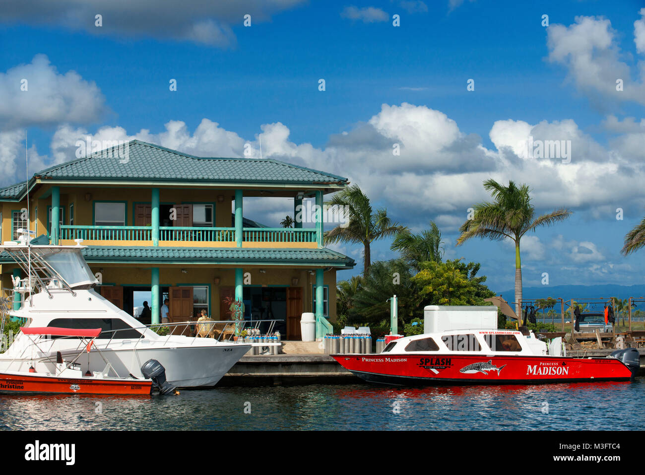 Diving in belize hires stock photography and images Alamy