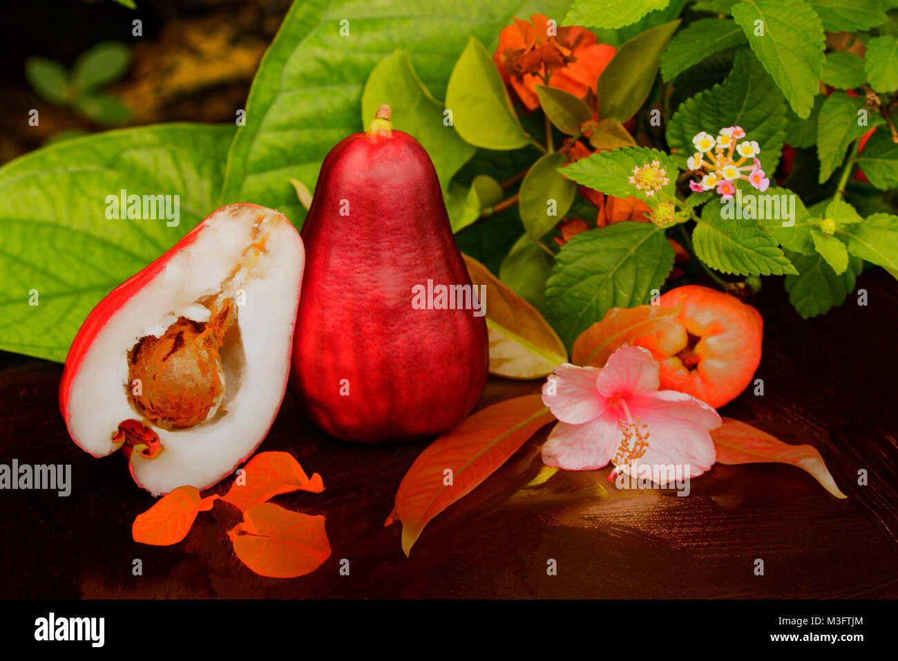 Jamaican Otaheite apple fruit in Ocho Rios, Jamaica, West Indies, Caribbean Stock Photo Alamy