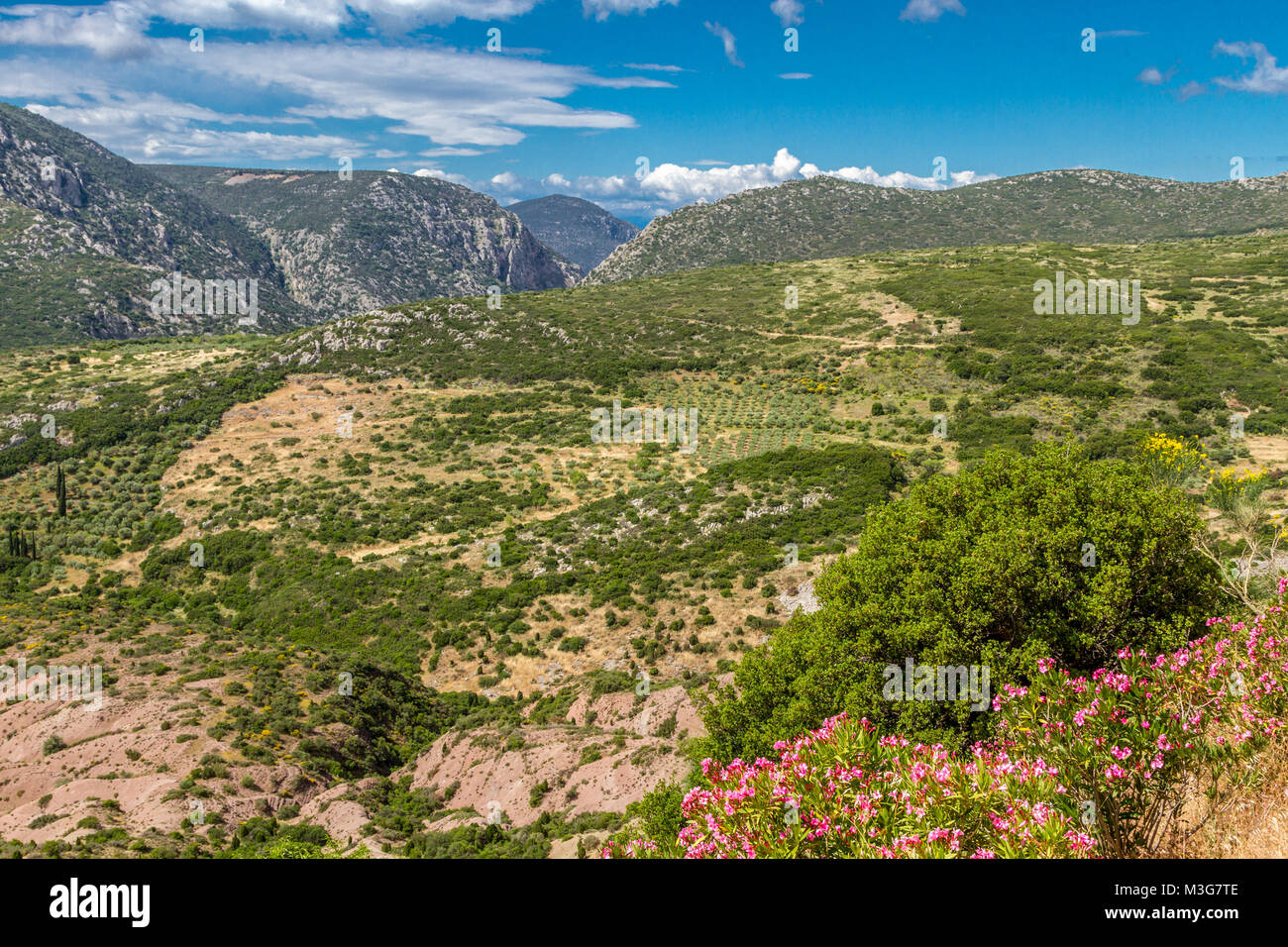 Mountainous landscape in Boeotia region, central Greece, just in front of the byzantine monastery of Osios Loukas, in Greece. Stock Photo