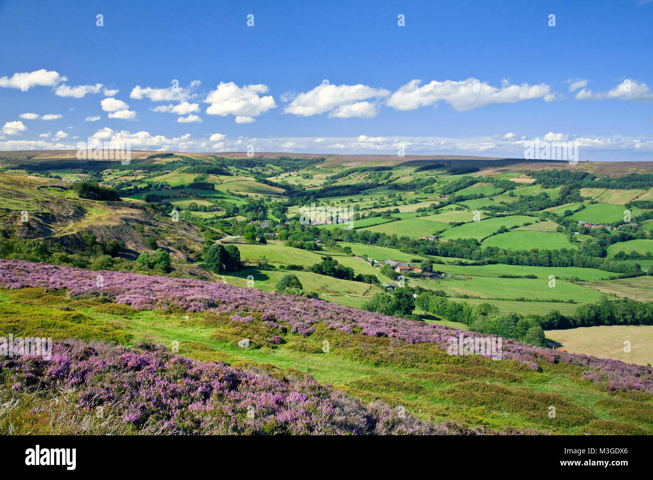 Rosedale from Spaunton Moor North York Moors Stock Photo Alamy