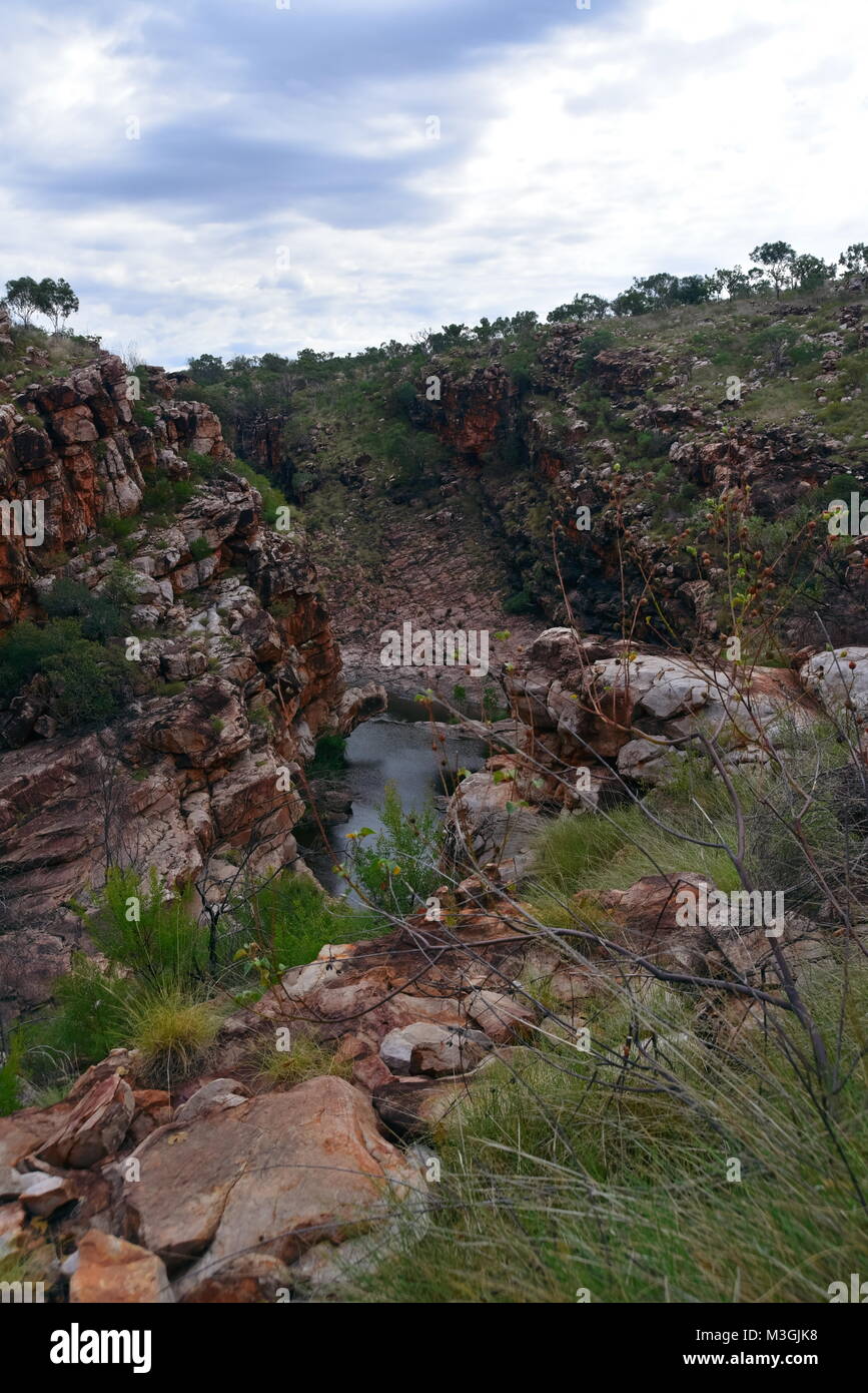 Magnificent Bell on the Gibb River Road, Kimberly Region, Western