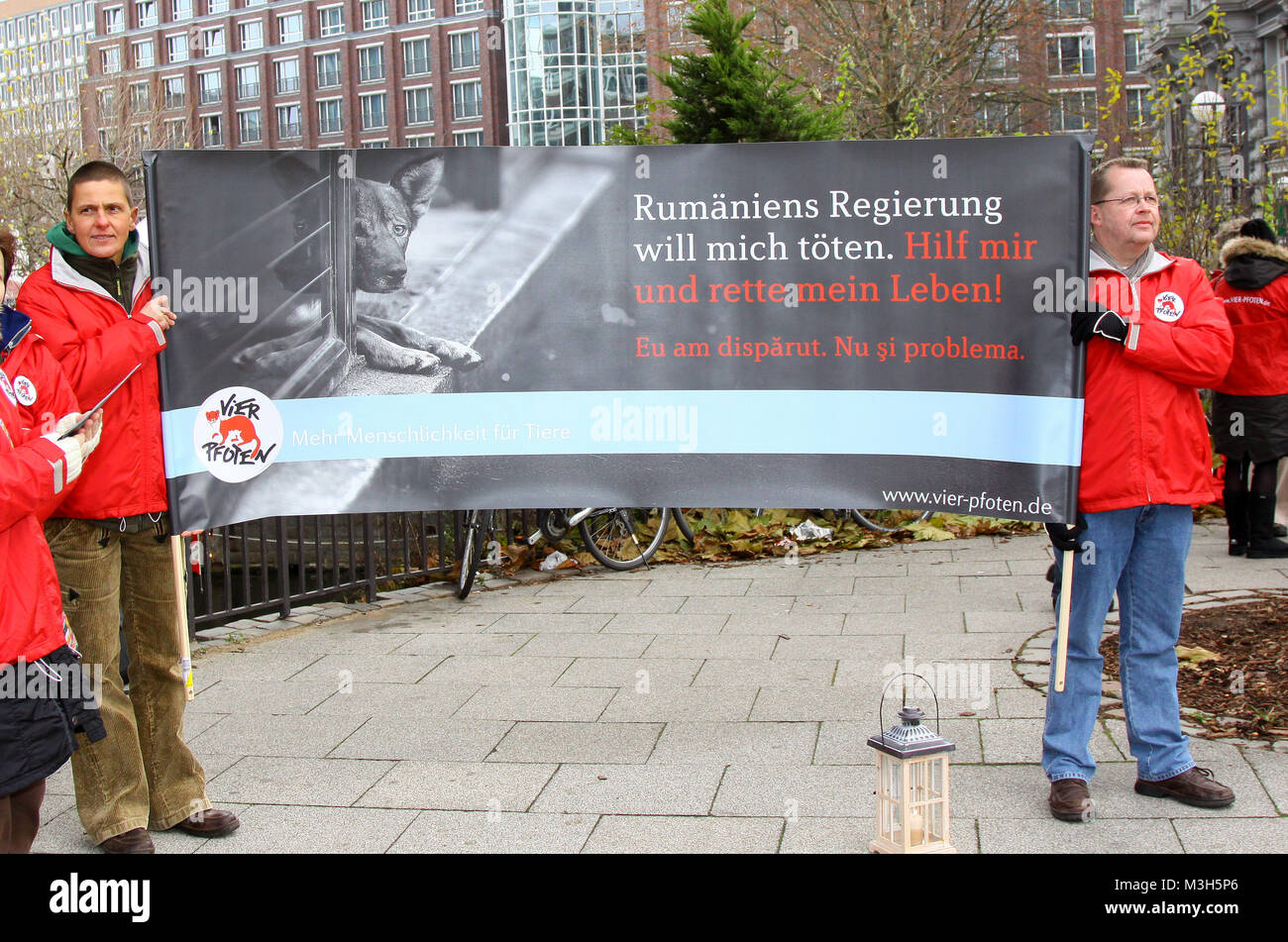 Protestaktion vor dem Rumaenischen Konsulat in Hamburg gemeinsam mit VIER PFOTEN gegen das am 22.11.2011 vom rumaenischen Parlament beschlossene moerderische Gesetz PL 912, das die skrupellose Toetung von Straßenhunden legalisiert.VIER PFOTEN wird diesen Protest dem rumänischen Präsidenten Traian Basescu übergeben, da nur er das Gesetz jetzt noch kippen kann.  Rumaenien hat ein Gesetz erlassen, das die Massentoetung von Streunerhunden erlaubt. Dabei haben Studien gezeigt: Nur eine flächendeckende Kastration der Streunerhunde verringert die Hundepopulation. Stock Photo