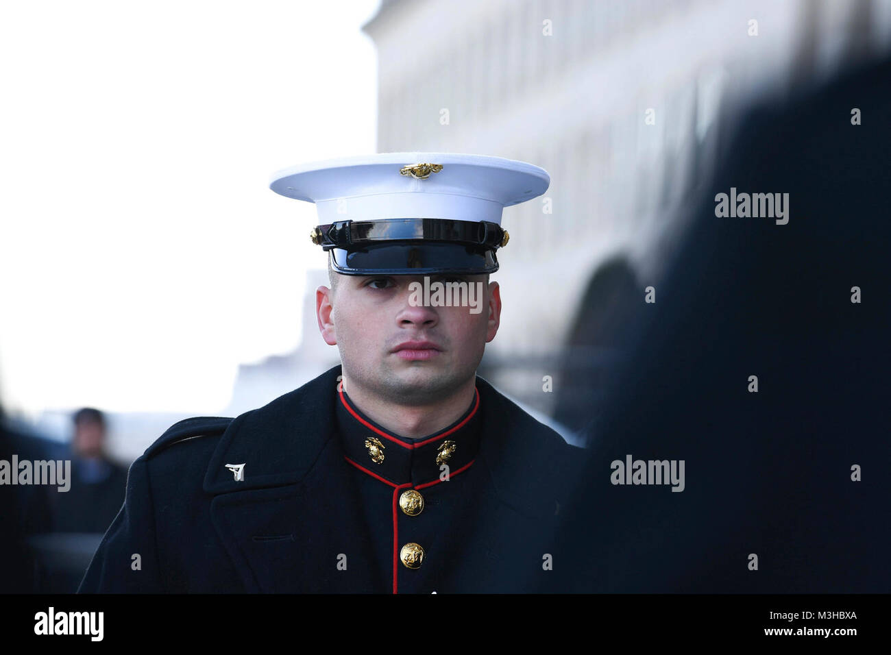 A member with the Joint Armed Forces Honor Guard participate in an ...