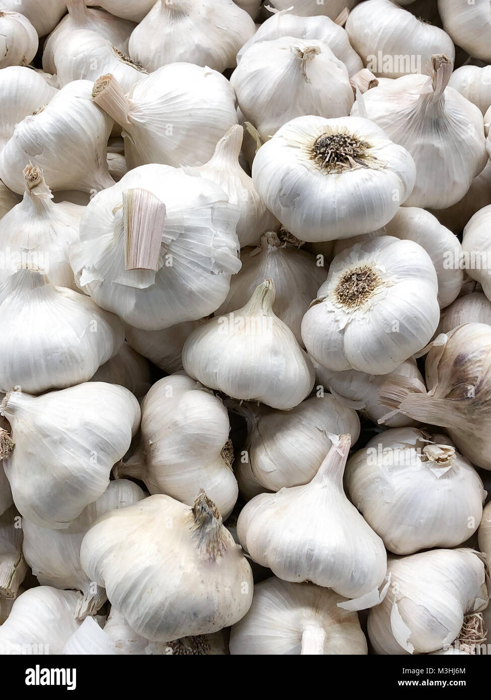 a large group of whole garlic covering frame. wallpaper and background usage vertical Stock Photo