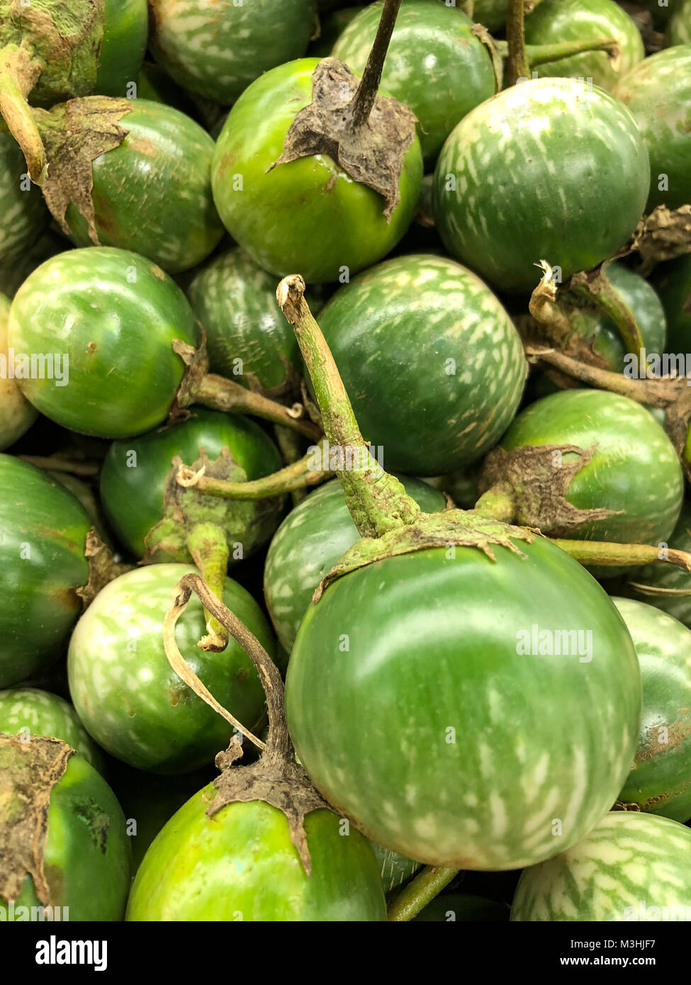 A large group of Thai Eggplants that fill the frame.  Background wallpaper Stock Photo