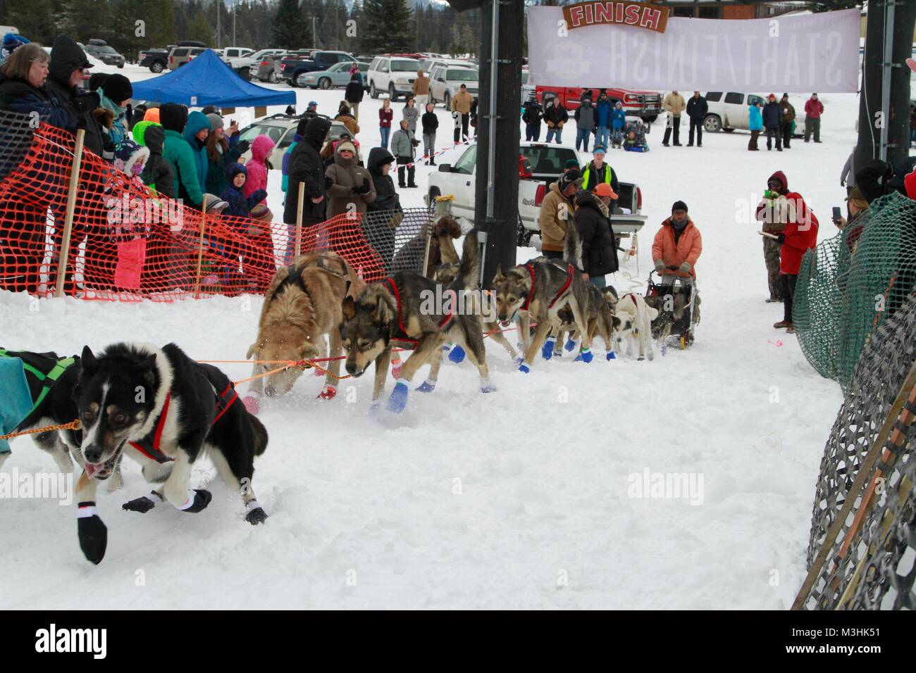 Race to the Sky 2018, Montana's Premier Sled Dog Races, Lincoln ...