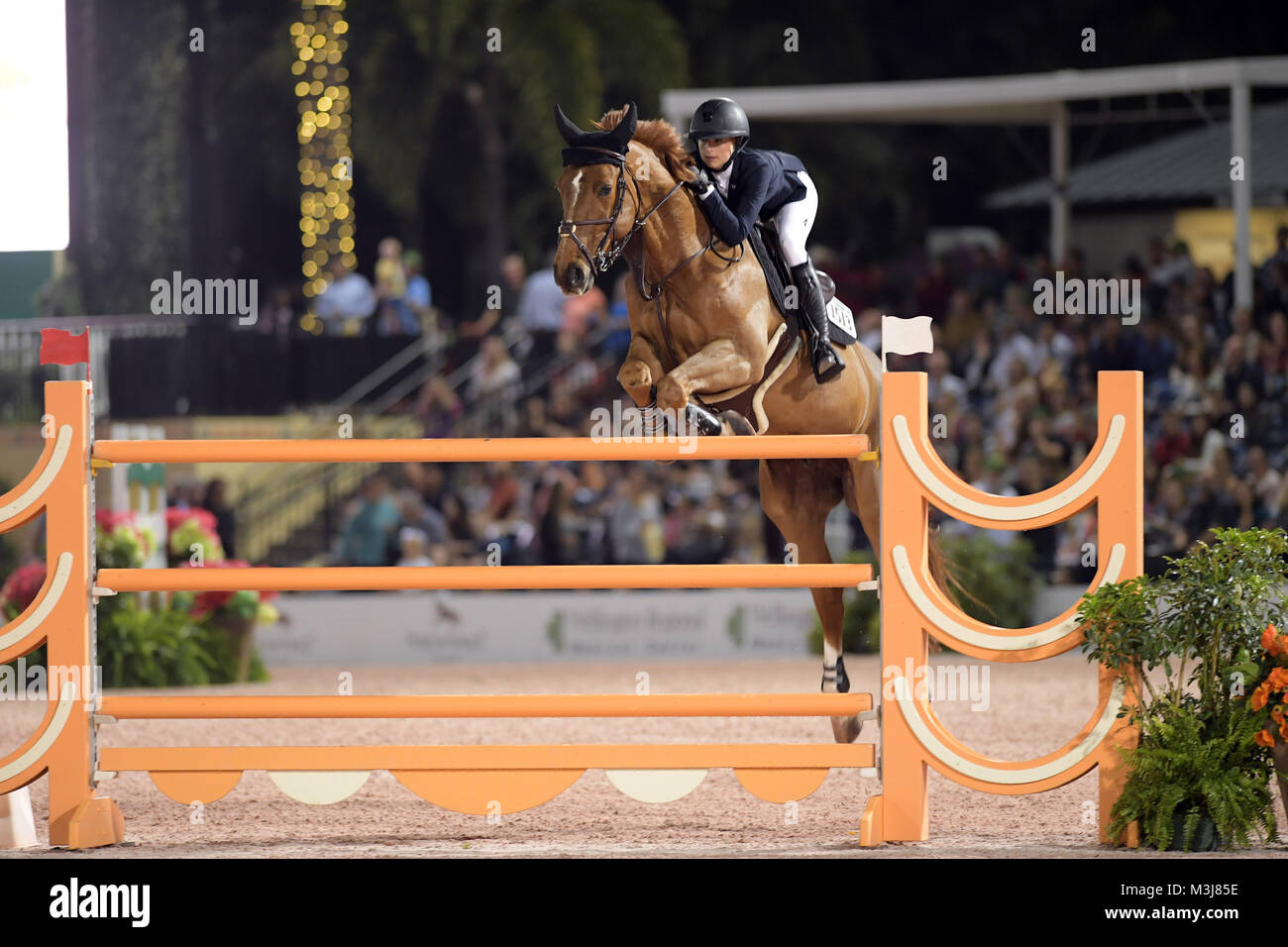 Wellington, Florida, USA. 10th February, 2018. The Winter Equestrian