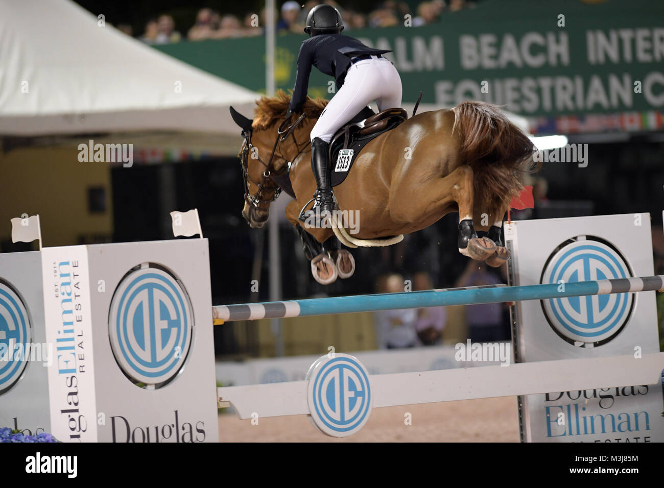 Stanford Equestrian Center High Resolution Stock Photography and Images