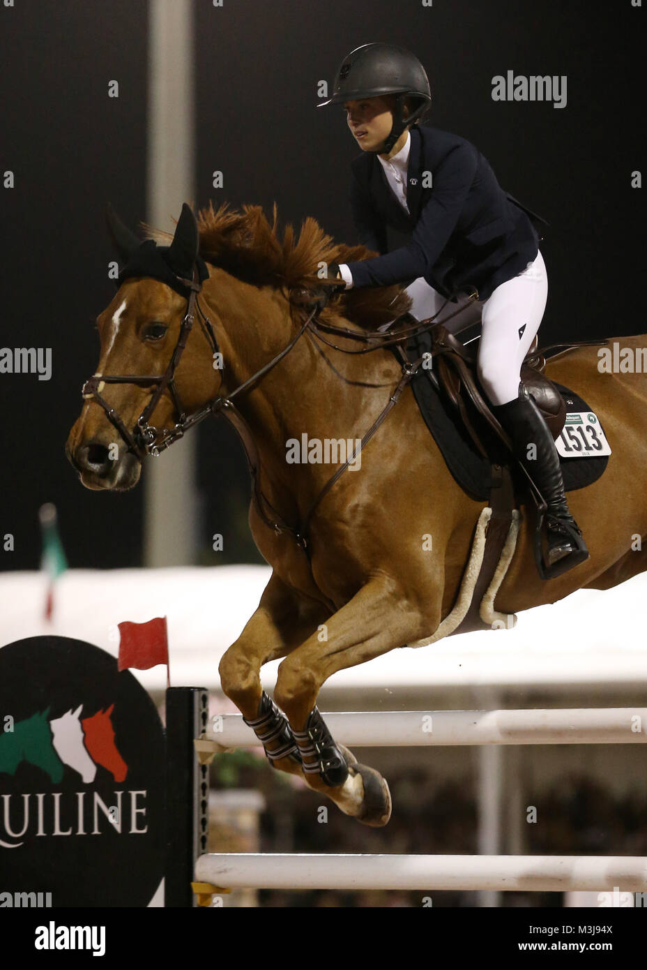 Wellington, Florida, USA. 10th February, 2018. . The Winter Equestrian