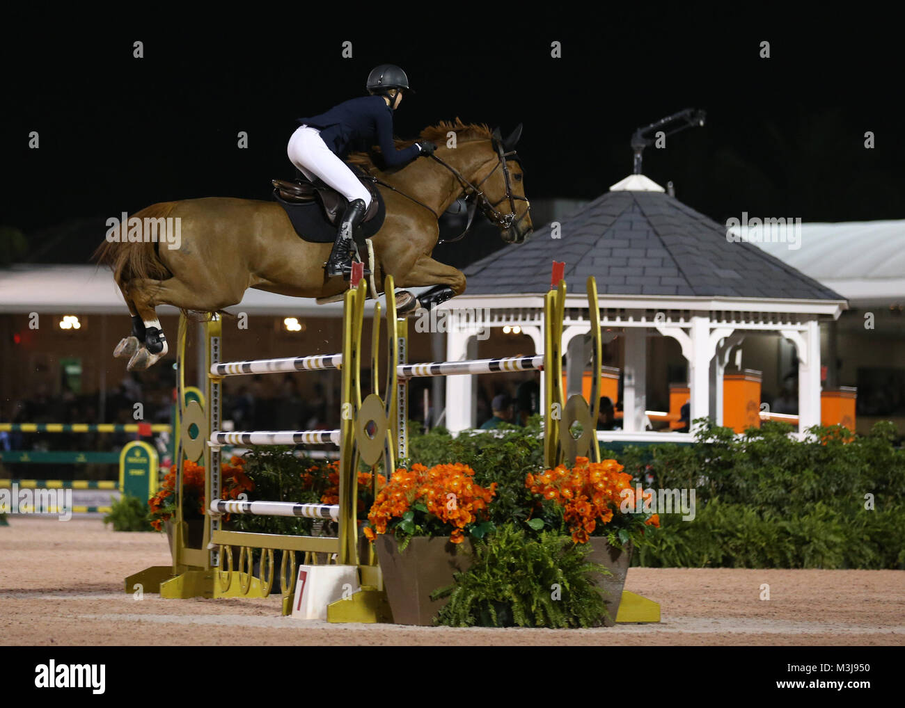 Wellington, Florida, USA. 10th February, 2018. . The Winter Equestrian Festival (WEF) is the