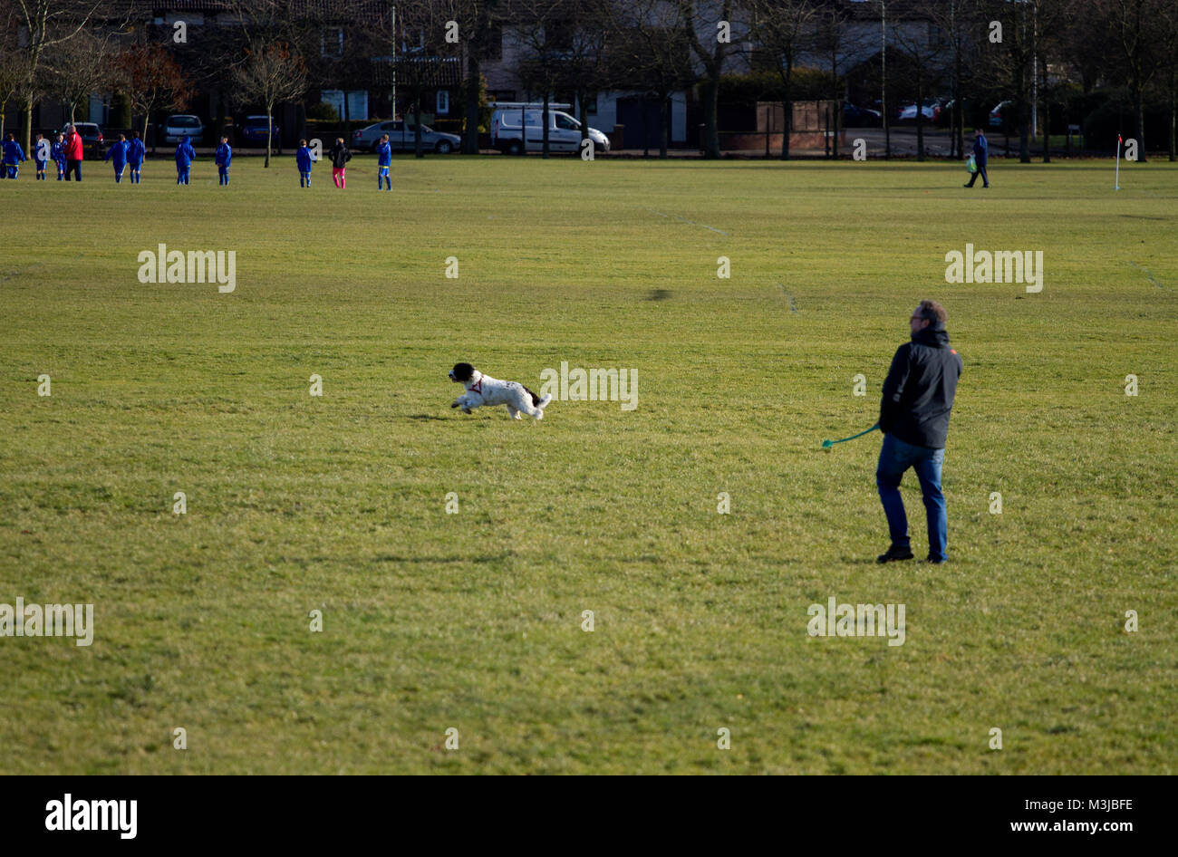 Day out with the dog hires stock photography and images Alamy