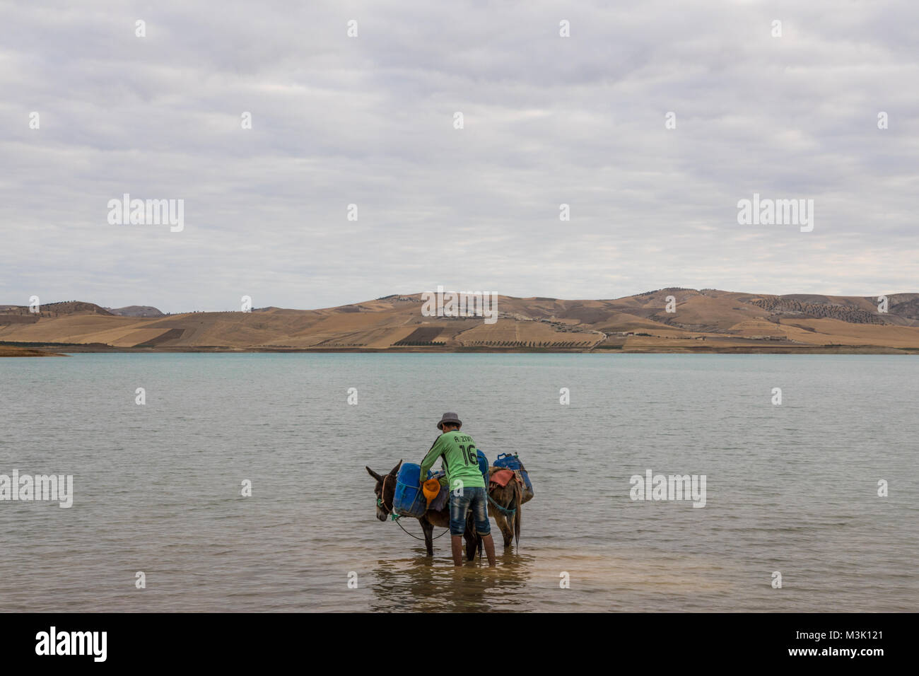 Donkey collecting water from the lake cloudy day Stock Photo